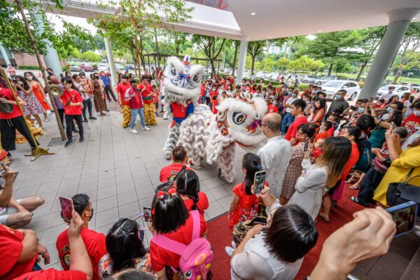 Celebrating the Lunar New Year of the Rabbit